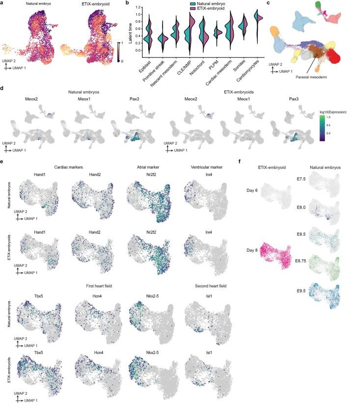 https://cdn.ncbi.nlm.nih.gov/pmc/blobs/cd58/9534772/232ba710ff7f/41586_2022_5246_Fig14_ESM.jpg