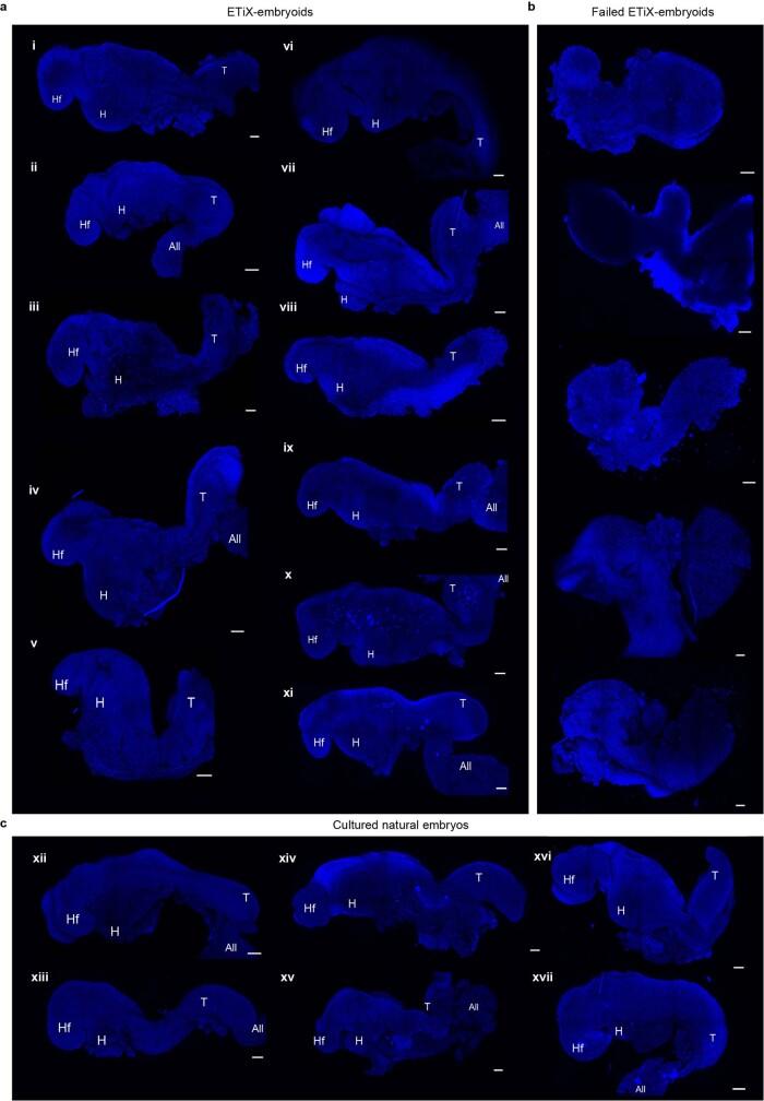 https://cdn.ncbi.nlm.nih.gov/pmc/blobs/cd58/9534772/b7324d7176d1/41586_2022_5246_Fig8_ESM.jpg