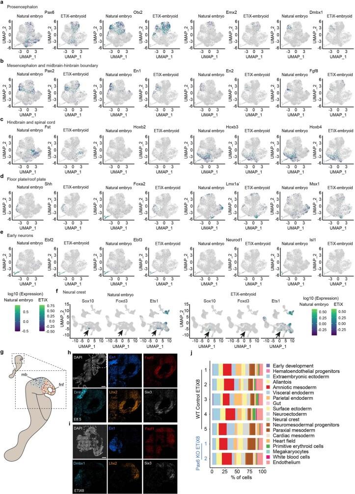 https://cdn.ncbi.nlm.nih.gov/pmc/blobs/cd58/9534772/cc6673117113/41586_2022_5246_Fig12_ESM.jpg