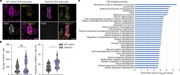 https://cdn.ncbi.nlm.nih.gov/pmc/blobs/cd58/9534772/d74ef9e9eda0/41586_2022_5246_Fig3_HTML.jpg