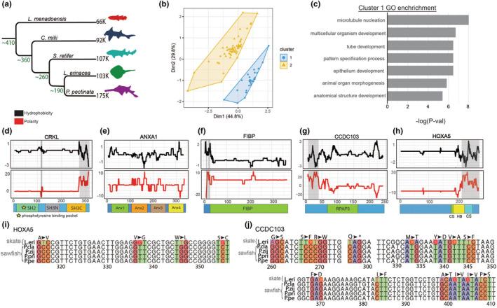 https://cdn.ncbi.nlm.nih.gov/pmc/blobs/cd59/11057056/f1b788351d0d/ECE3-14-e11260-g002.jpg