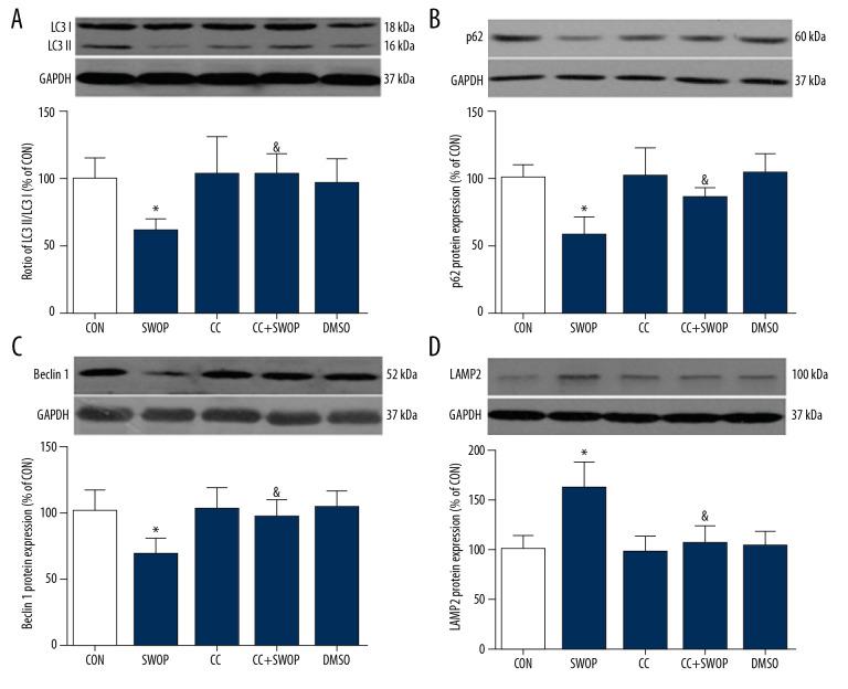 https://cdn.ncbi.nlm.nih.gov/pmc/blobs/cd59/7288833/fd8d89c59e3b/medscimonit-26-e922176-g006.jpg
