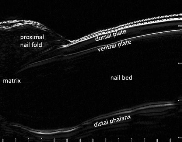 https://cdn.ncbi.nlm.nih.gov/pmc/blobs/cd59/8058126/a6510723d760/13089_2021_222_Fig3_HTML.jpg