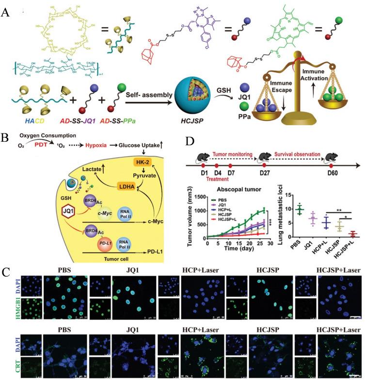 https://cdn.ncbi.nlm.nih.gov/pmc/blobs/cd5b/11184231/2a88dcf101c0/IJN-19-5895-g0009.jpg