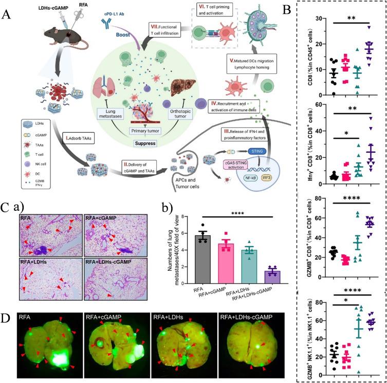 https://cdn.ncbi.nlm.nih.gov/pmc/blobs/cd5b/11184231/3bd2c37e013c/IJN-19-5895-g0006.jpg