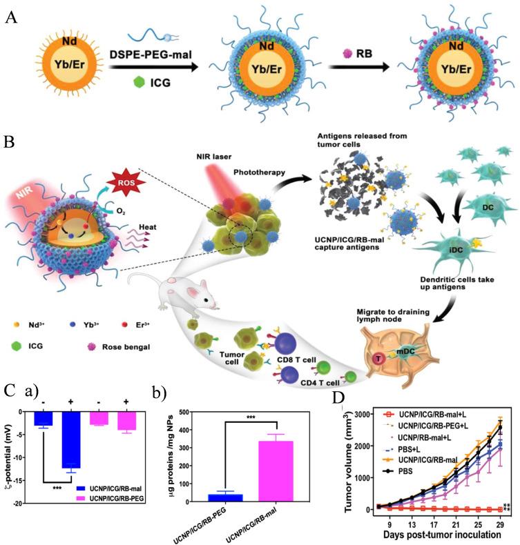 https://cdn.ncbi.nlm.nih.gov/pmc/blobs/cd5b/11184231/58413db0221c/IJN-19-5895-g0005.jpg