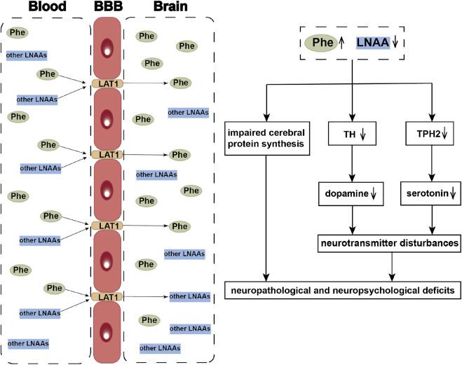https://cdn.ncbi.nlm.nih.gov/pmc/blobs/cd5c/9845280/d1c10db65f3b/fgene-13-1051153-g001.jpg