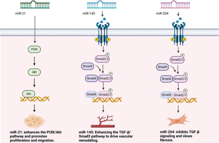 https://cdn.ncbi.nlm.nih.gov/pmc/blobs/cd5d/12179876/deb394aaa700/fphar-16-1596767-g002.jpg