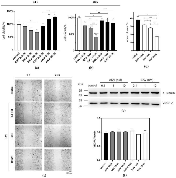https://cdn.ncbi.nlm.nih.gov/pmc/blobs/cd60/10342375/73d7ea7a8223/ijms-24-11107-g003.jpg