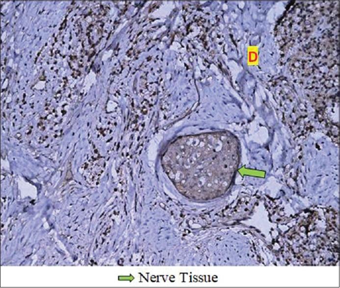 https://cdn.ncbi.nlm.nih.gov/pmc/blobs/cd60/5855261/56bb5faeb291/JISP-22-12-g007.jpg