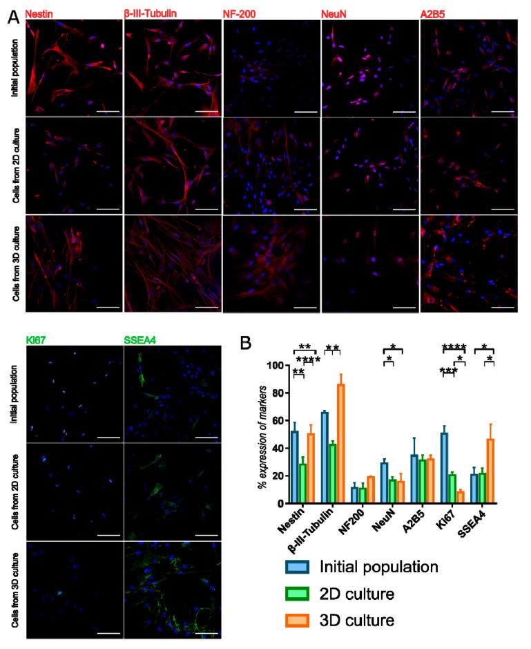 https://cdn.ncbi.nlm.nih.gov/pmc/blobs/cd61/8063822/57de3d04e2b2/cells-10-00719-g005.jpg