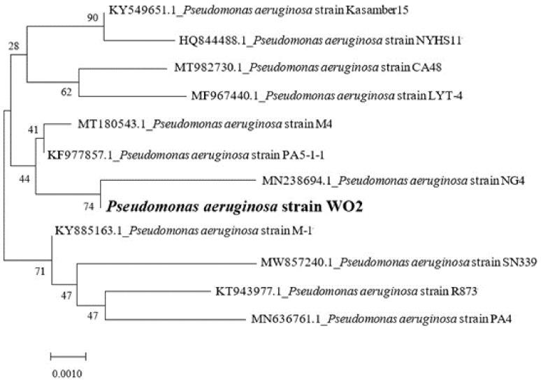 https://cdn.ncbi.nlm.nih.gov/pmc/blobs/cd61/8835509/2877156c0b9a/ijerph-19-01700-g001.jpg