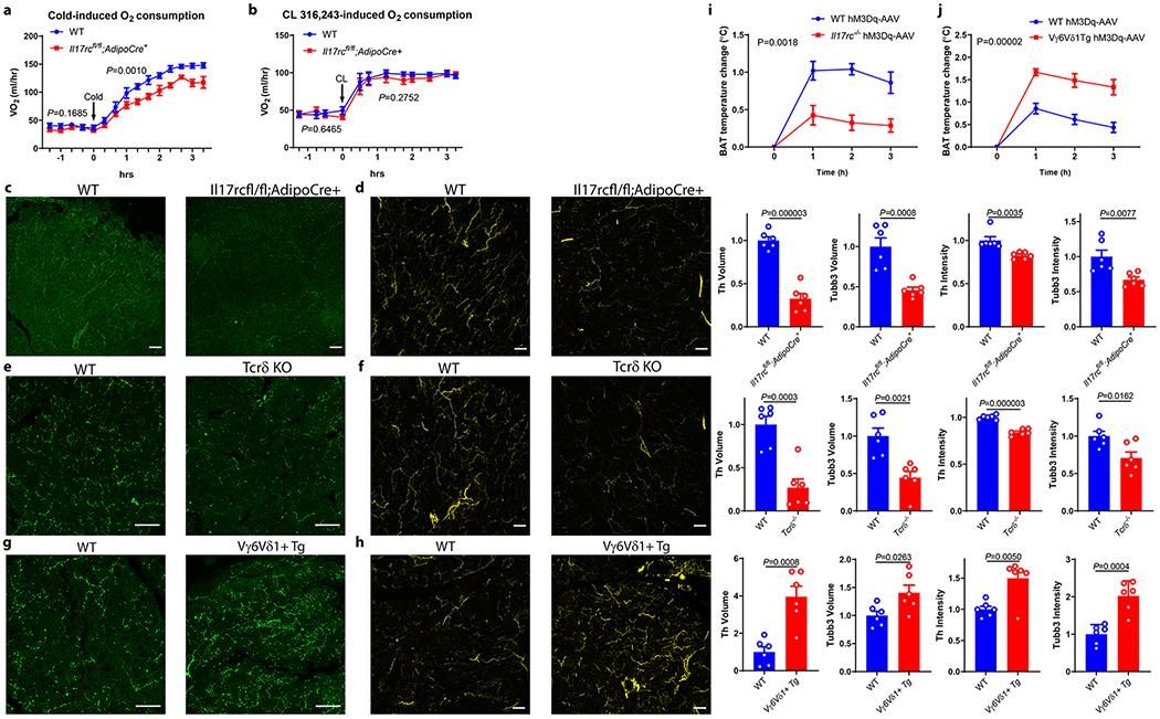 https://cdn.ncbi.nlm.nih.gov/pmc/blobs/cd65/7055484/1a48c81edea8/nihms-1546843-f0002.jpg