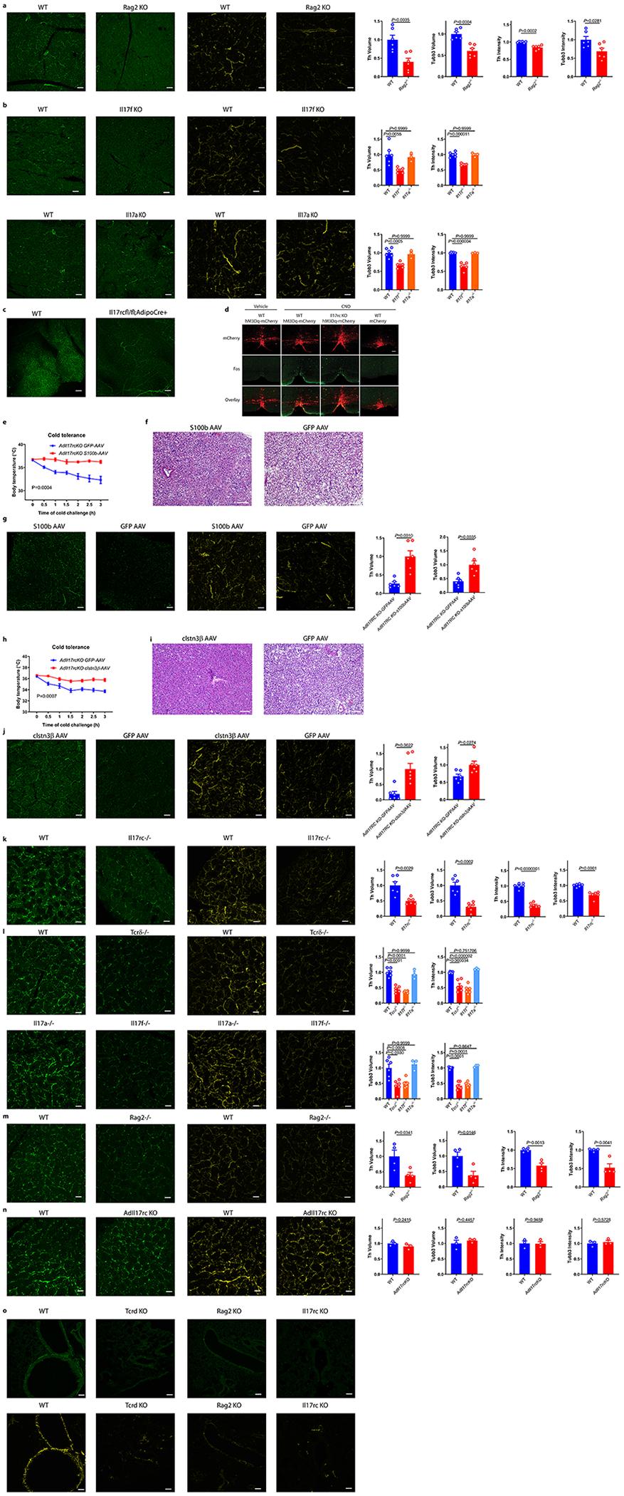 https://cdn.ncbi.nlm.nih.gov/pmc/blobs/cd65/7055484/996a3b7e4c41/nihms-1546843-f0006.jpg