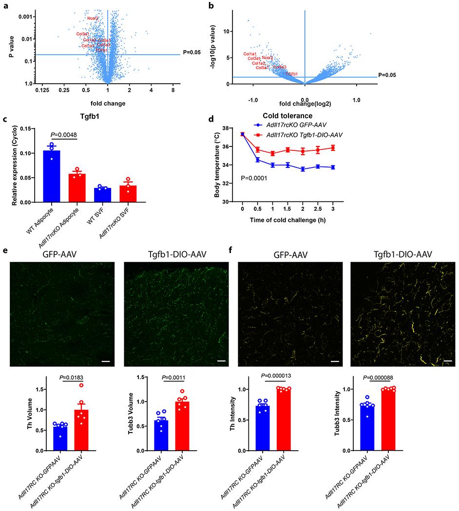 https://cdn.ncbi.nlm.nih.gov/pmc/blobs/cd65/7055484/dce579e4423e/nihms-1546843-f0003.jpg