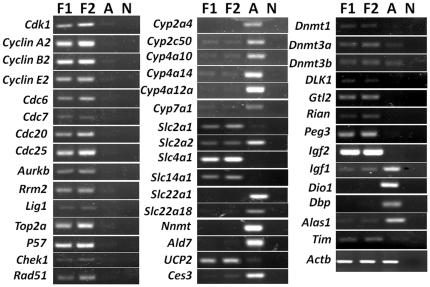 https://cdn.ncbi.nlm.nih.gov/pmc/blobs/cd67/3283632/6f7a43019f71/pone.0031292.g002.jpg