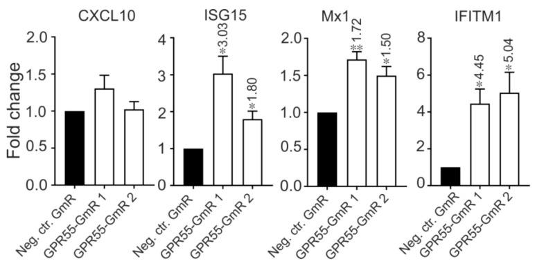 https://cdn.ncbi.nlm.nih.gov/pmc/blobs/cd69/6631246/474d8cc03e81/viruses-11-00549-g010.jpg