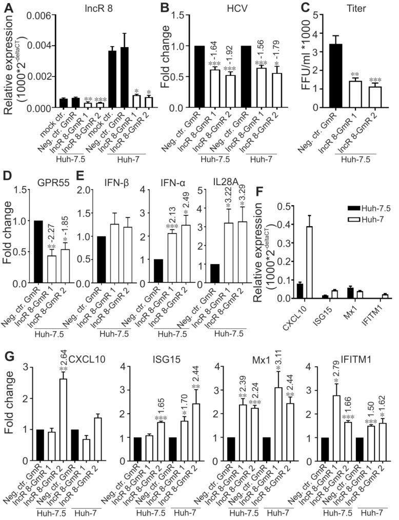 https://cdn.ncbi.nlm.nih.gov/pmc/blobs/cd69/6631246/700773321f79/viruses-11-00549-g008.jpg
