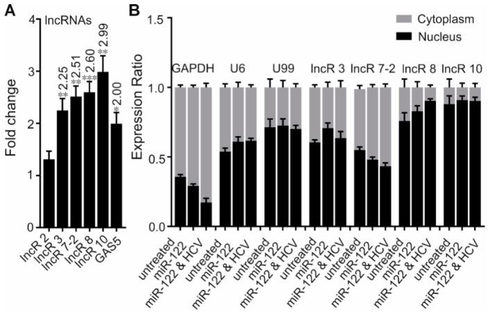 https://cdn.ncbi.nlm.nih.gov/pmc/blobs/cd69/6631246/a4ca59c61c88/viruses-11-00549-g002.jpg