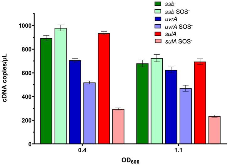 https://cdn.ncbi.nlm.nih.gov/pmc/blobs/cd69/9505508/31a16fb7b9e5/ijms-23-10917-g005.jpg
