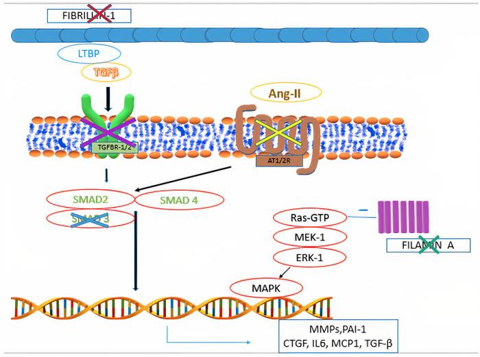 https://cdn.ncbi.nlm.nih.gov/pmc/blobs/cd6b/10272793/5f5585d129de/fcvm-10-1128195-g004.jpg