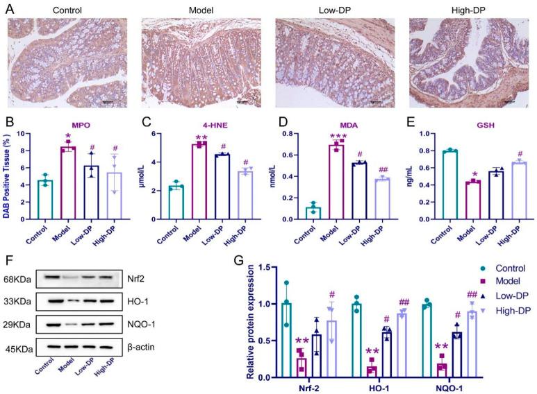 https://cdn.ncbi.nlm.nih.gov/pmc/blobs/cd6b/10606498/1c02566528bf/foods-12-03800-g003.jpg