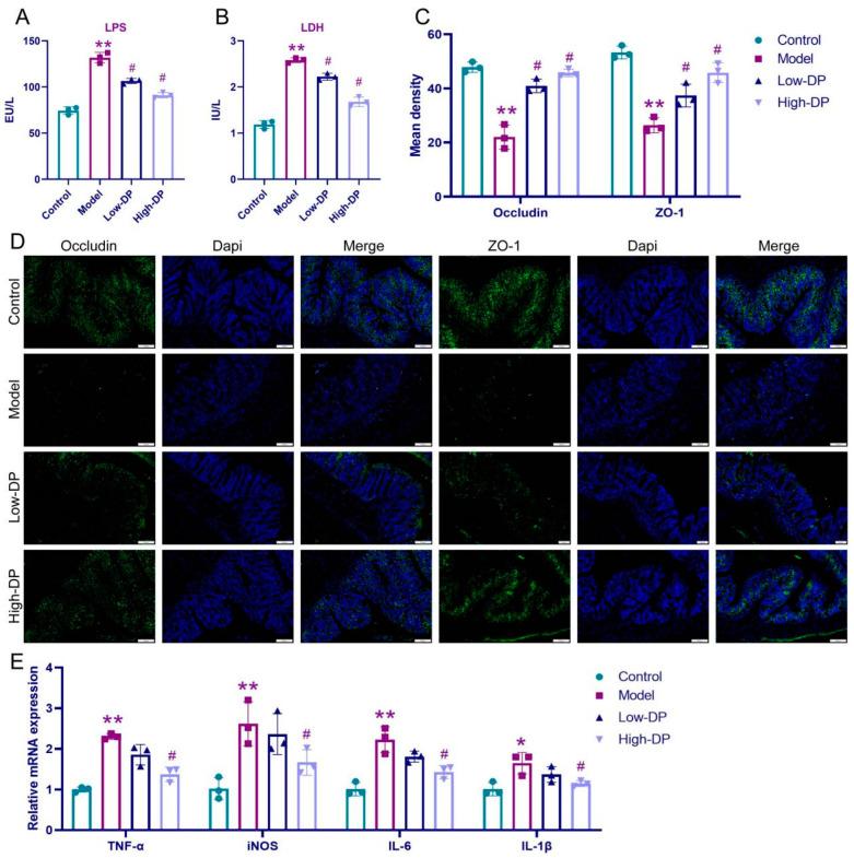 https://cdn.ncbi.nlm.nih.gov/pmc/blobs/cd6b/10606498/fbbd4d0f955a/foods-12-03800-g004.jpg