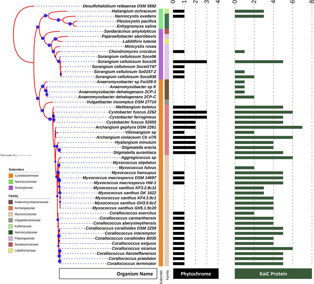 https://cdn.ncbi.nlm.nih.gov/pmc/blobs/cd6e/11832031/d189cc64ea58/nihms-2049306-f0005.jpg