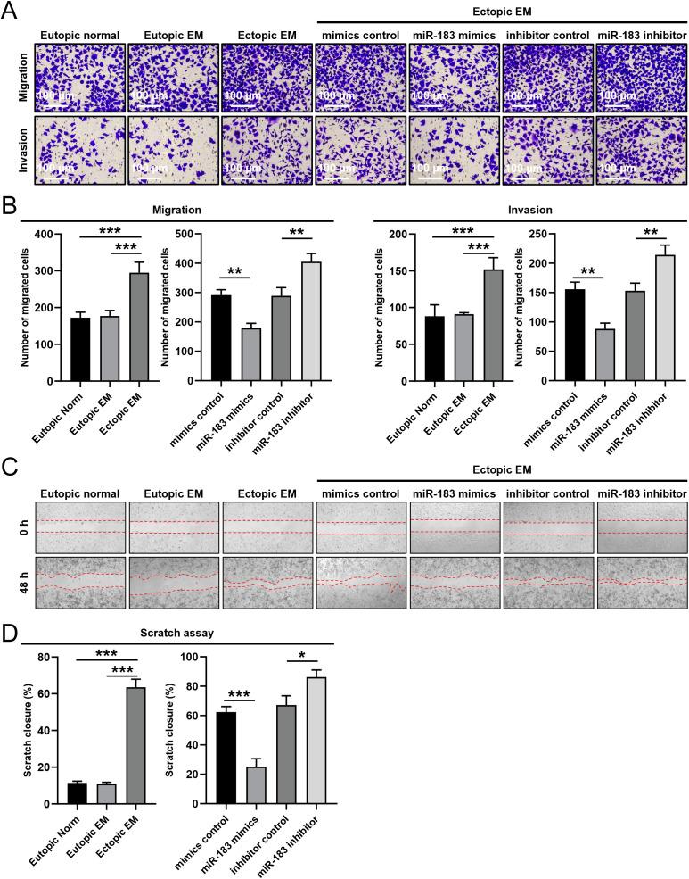 https://cdn.ncbi.nlm.nih.gov/pmc/blobs/cd6e/12234282/c5294f292038/fonc-15-1537528-g002.jpg