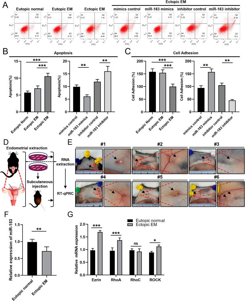 https://cdn.ncbi.nlm.nih.gov/pmc/blobs/cd6e/12234282/f389fd422870/fonc-15-1537528-g003.jpg