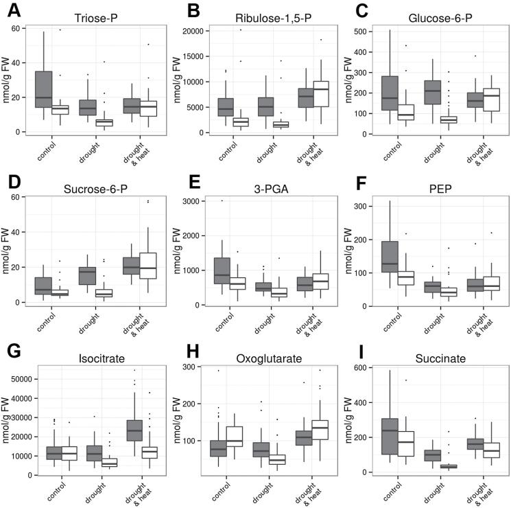 https://cdn.ncbi.nlm.nih.gov/pmc/blobs/cd70/5441916/92fbd0125368/erx03806.jpg