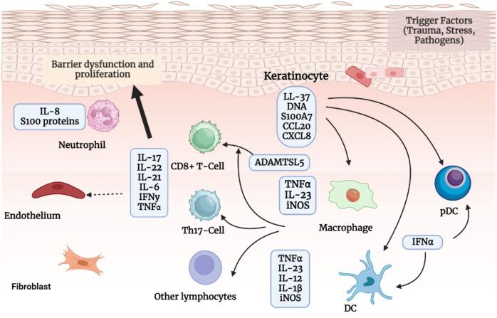 https://cdn.ncbi.nlm.nih.gov/pmc/blobs/cd71/12047224/0db7591ebeab/peerj-13-19325-g003.jpg