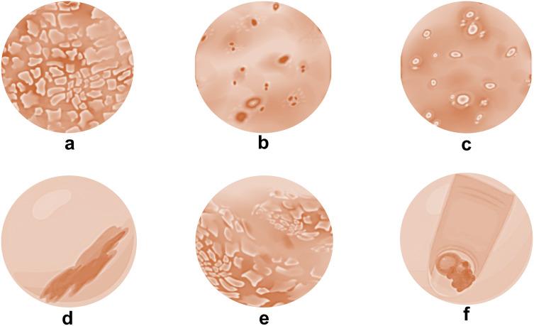 https://cdn.ncbi.nlm.nih.gov/pmc/blobs/cd71/12047224/e094f4796273/peerj-13-19325-g001.jpg