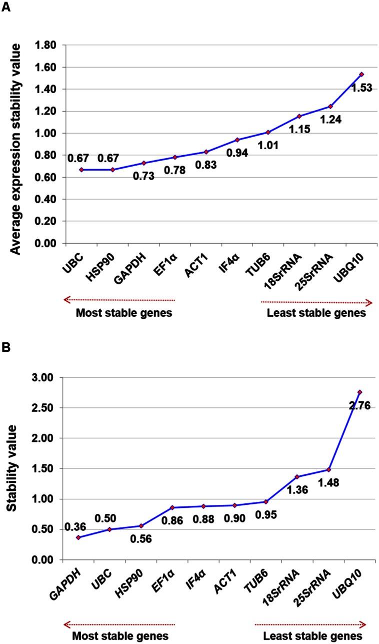 https://cdn.ncbi.nlm.nih.gov/pmc/blobs/cd71/4865767/13514ca4f947/fpls-06-01071-g002.jpg