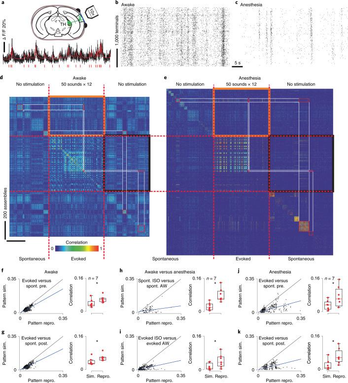 https://cdn.ncbi.nlm.nih.gov/pmc/blobs/cd71/9534770/45926193876f/41593_2022_1168_Fig5_HTML.jpg