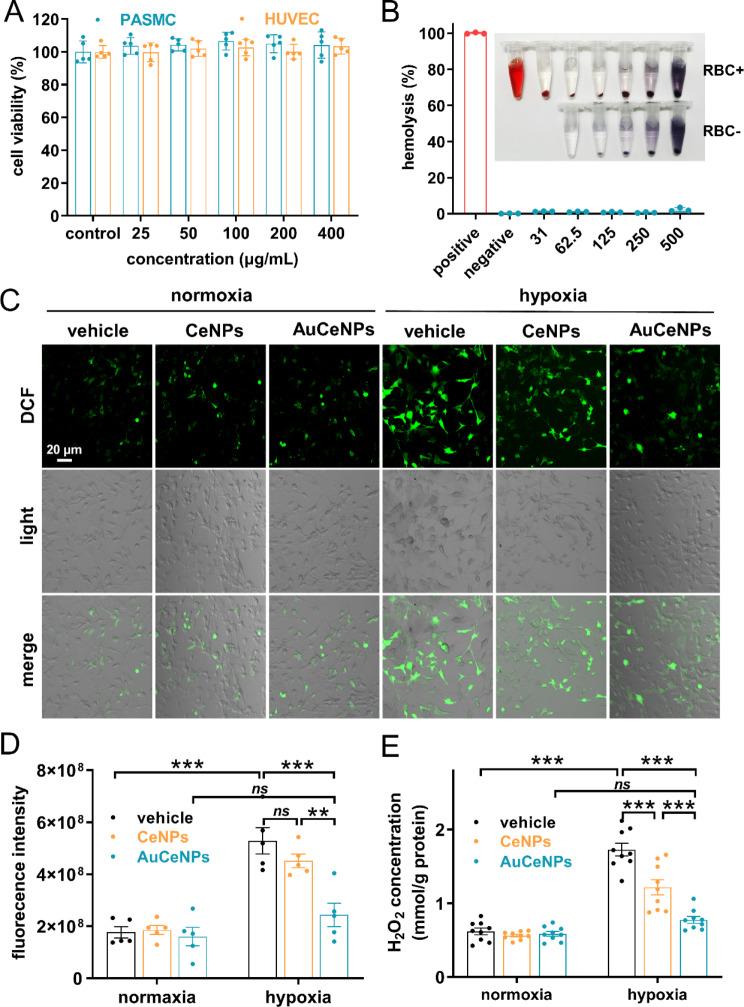 https://cdn.ncbi.nlm.nih.gov/pmc/blobs/cd72/11331617/44af9f5382a8/12951_2024_2738_Fig2_HTML.jpg