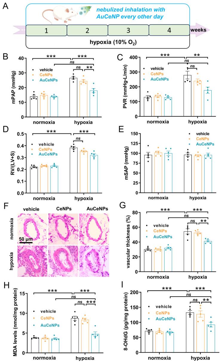 https://cdn.ncbi.nlm.nih.gov/pmc/blobs/cd72/11331617/6b362a48b11d/12951_2024_2738_Fig5_HTML.jpg