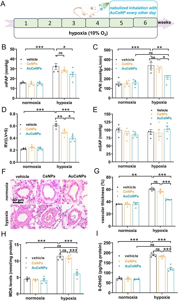 https://cdn.ncbi.nlm.nih.gov/pmc/blobs/cd72/11331617/86cdac169a85/12951_2024_2738_Fig6_HTML.jpg