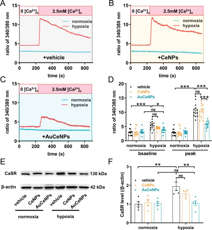 https://cdn.ncbi.nlm.nih.gov/pmc/blobs/cd72/11331617/d17fad0f77e4/12951_2024_2738_Fig7_HTML.jpg