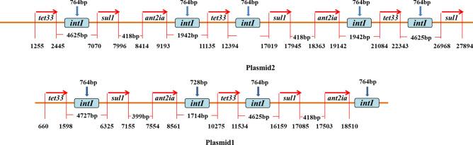 https://cdn.ncbi.nlm.nih.gov/pmc/blobs/cd76/8329189/3de5e429d6a5/41598_2021_94840_Fig6_HTML.jpg