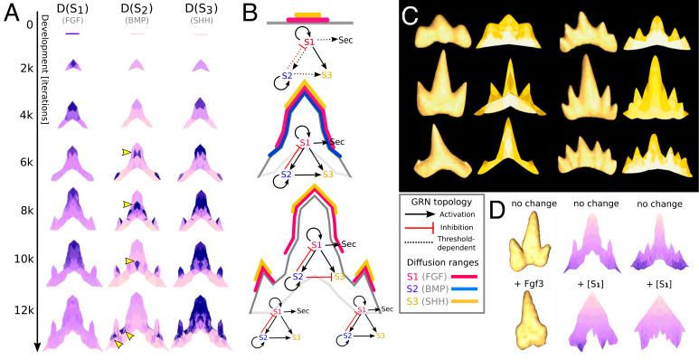 https://cdn.ncbi.nlm.nih.gov/pmc/blobs/cd78/10104537/6df1dd647e1a/pnas.2216959120fig01.jpg