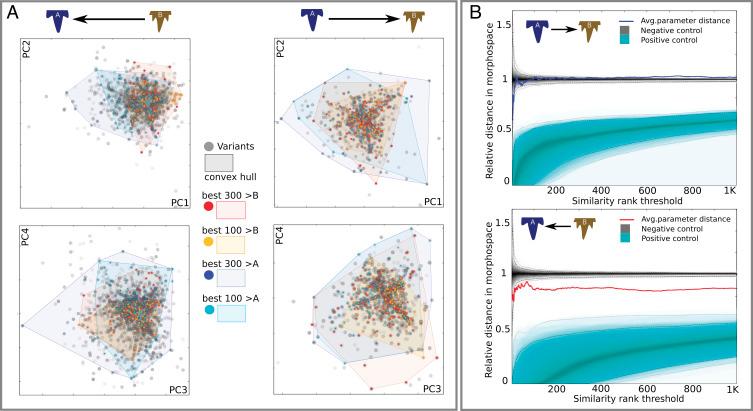 https://cdn.ncbi.nlm.nih.gov/pmc/blobs/cd78/10104537/e68d1595c5f6/pnas.2216959120fig02.jpg
