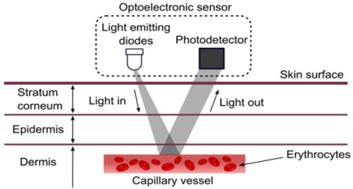https://cdn.ncbi.nlm.nih.gov/pmc/blobs/cd78/11945921/6346cf155dab/sensors-25-01868-g001.jpg