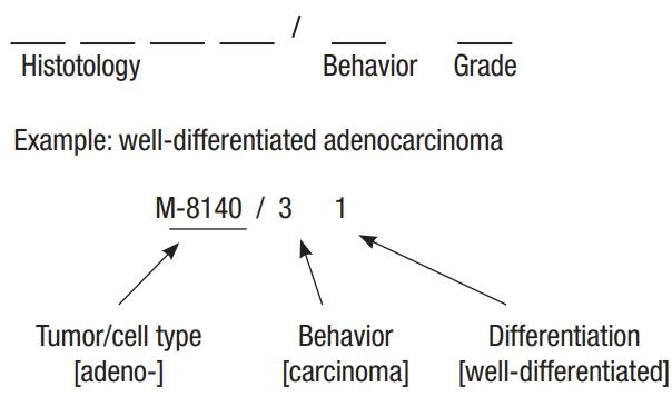 https://cdn.ncbi.nlm.nih.gov/pmc/blobs/cd79/7837402/469f4b7dde55/ac-2020-05-03-2f1.jpg