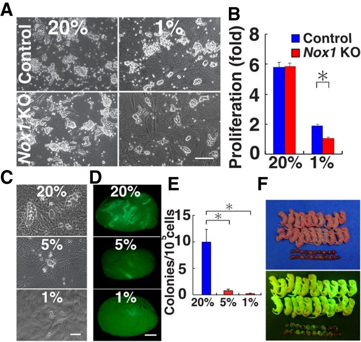 https://cdn.ncbi.nlm.nih.gov/pmc/blobs/cd7b/7849365/b048be3dd18c/250f01.jpg