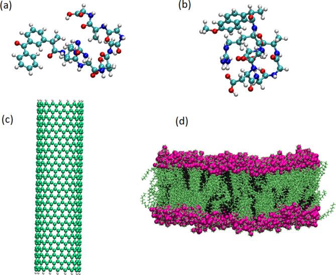 https://cdn.ncbi.nlm.nih.gov/pmc/blobs/cd7c/11607415/52c26fd6492e/41598_2024_80060_Fig2_HTML.jpg