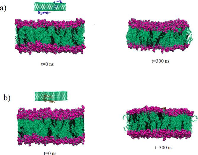 https://cdn.ncbi.nlm.nih.gov/pmc/blobs/cd7c/11607415/6384cc7738f6/41598_2024_80060_Fig8_HTML.jpg