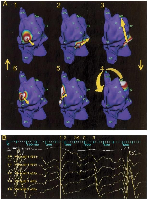 https://cdn.ncbi.nlm.nih.gov/pmc/blobs/cd7d/1501102/2646998ad374/ipej060119-05.jpg