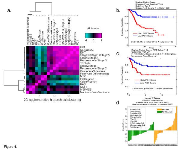 https://cdn.ncbi.nlm.nih.gov/pmc/blobs/cd7d/3032646/55b54ed6fe4e/1755-8794-4-9-4.jpg