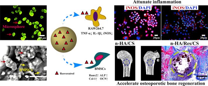 https://cdn.ncbi.nlm.nih.gov/pmc/blobs/cd7f/7653289/029615c5fcf6/fx1.jpg